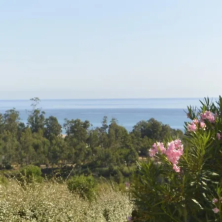 Paolina C1- Vue Mer- Proche Commerces * Sari-Solenzara